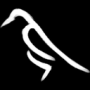 raven_icon.png
