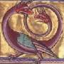 amphisbaena2.jpg