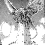 gold-02.gif
