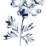 crystal_flower.png