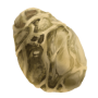 bezoar_stone.png
