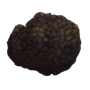 truffle.png